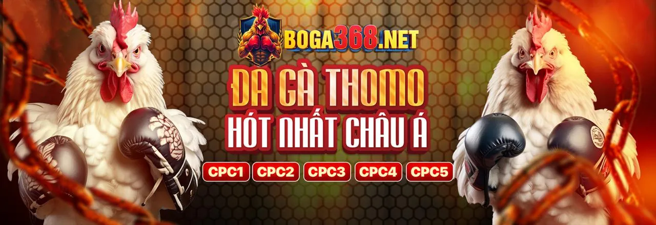 Đá gà trực tuyến đỉnh cao trên ứng dụng u888 abcvip